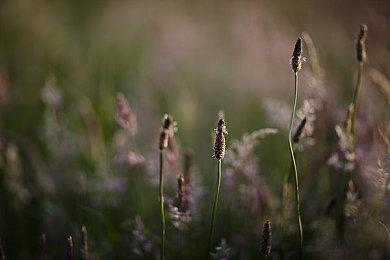 《龙腾世纪：影障守护者》主宰英美PS商城预购榜